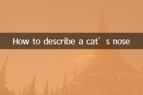 چگونه بینی گربه را توصیف کنیم