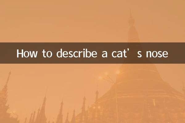 چگونه بینی گربه را توصیف کنیم