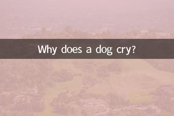 ¿Por qué llora un perro?