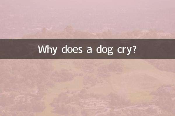 ¿Por qué llora un perro?