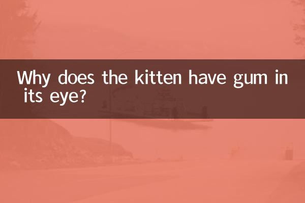 কেন বিড়ালছানা তার চোখে মাড়ি আছে?