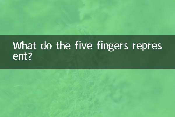 ５本の指は何を表しているのでしょうか？