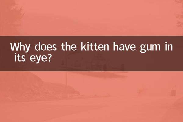 কেন বিড়ালছানা তার চোখে মাড়ি আছে?