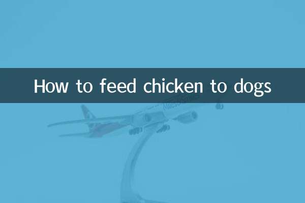 كيفية إطعام الدجاج للكلاب