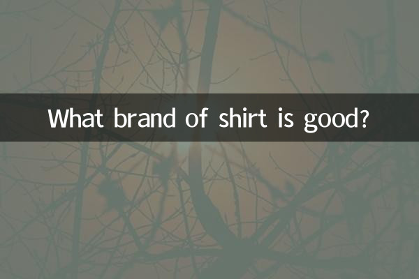 Che marca di maglietta è buona?