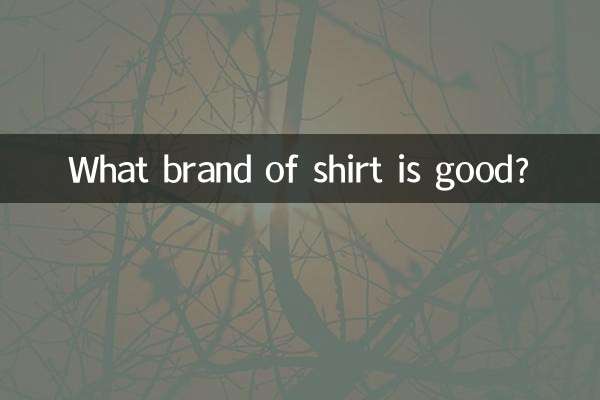 Che marca di maglietta è buona?