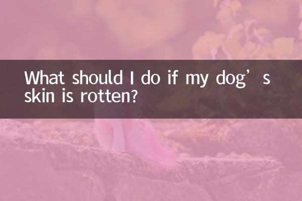 ماذا علي أن أفعل إذا كان جلد كلبي فاسدًا؟