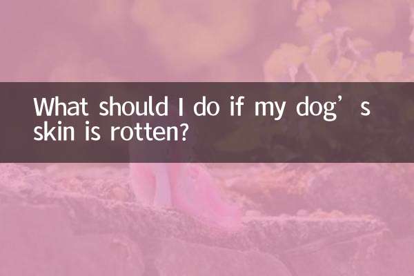 ¿Qué debo hacer si la piel de mi perro está podrida?