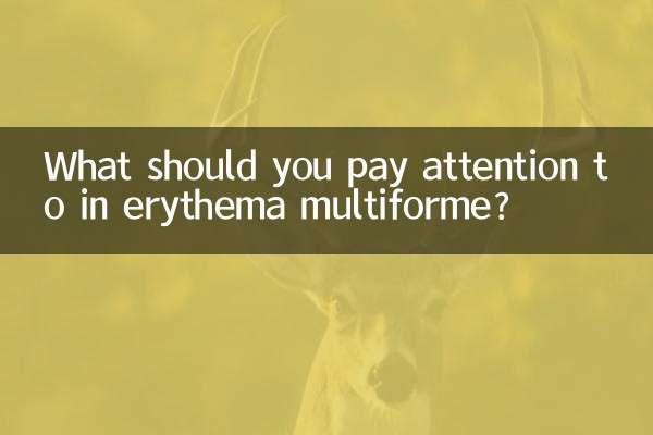 ¿A qué se debe prestar atención en el eritema multiforme?
