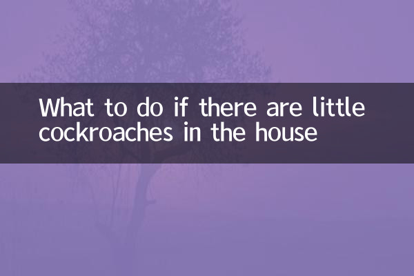 Cosa fare se in casa ci sono piccoli scarafaggi?