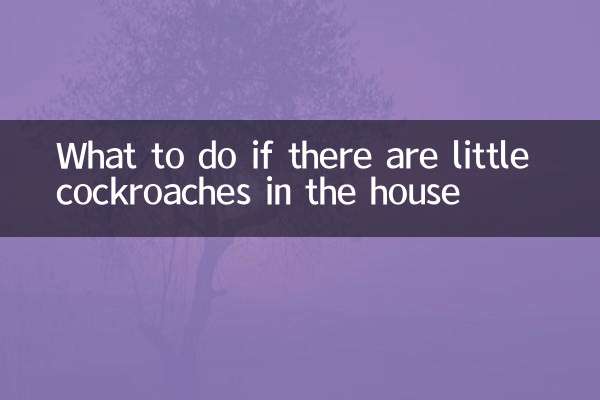 What to do if there are little cockroaches in the house