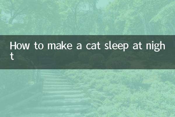 Wie man eine Katze nachts zum Schlafen bringt