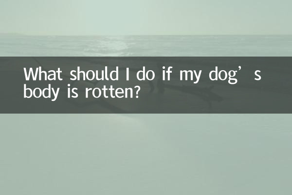 狗狗身上爛了怎麼辦