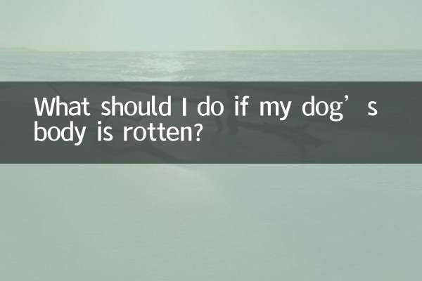 What should I do if my dog’s body is rotten?