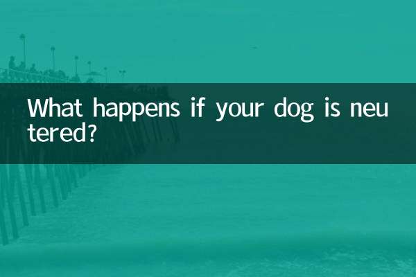 あなたの犬が去勢手術を受けたらどうなりますか？