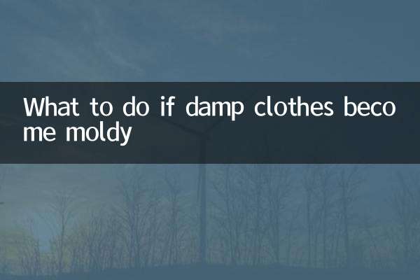 潮湿衣服发霉怎么办