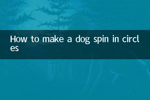 How to make a dog spin in circles