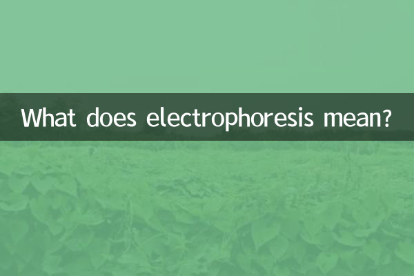 Cosa significa elettroforesi?