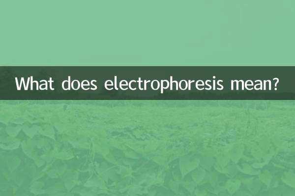 电泳是什么意思