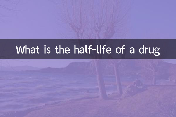 약물의 반감기는 얼마입니까?