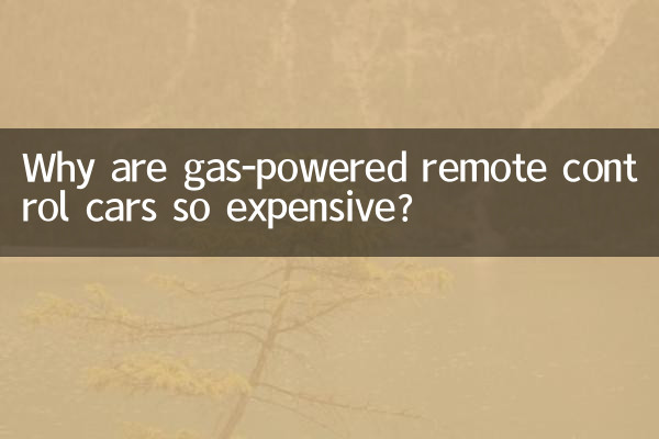 휘발유로 움직이는 원격 조종 자동차는 왜 그렇게 비싼가요?