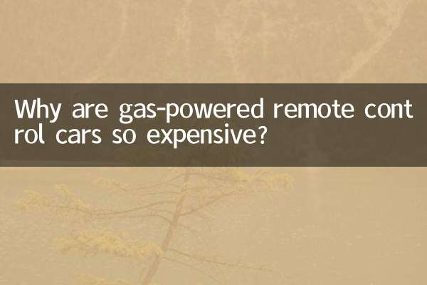 휘발유로 움직이는 원격 조종 자동차는 왜 그렇게 비싼가요?