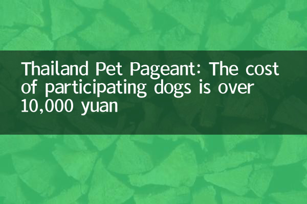 Thailand Pet Pageant: The cost of participating dogs is over 10,000 yuan