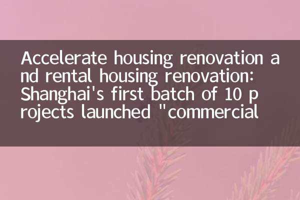 Accelerate housing renovation and rental housing renovation: Shanghai's first batch of 10 projects launched 