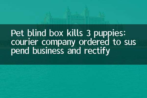 Pet blind box kills 3 puppies: courier company ordered to suspend business and rectify