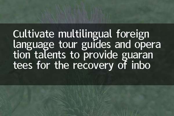 Cultivate multilingual foreign language tour guides and operation talents to provide guarantees for the recovery of inbound travel