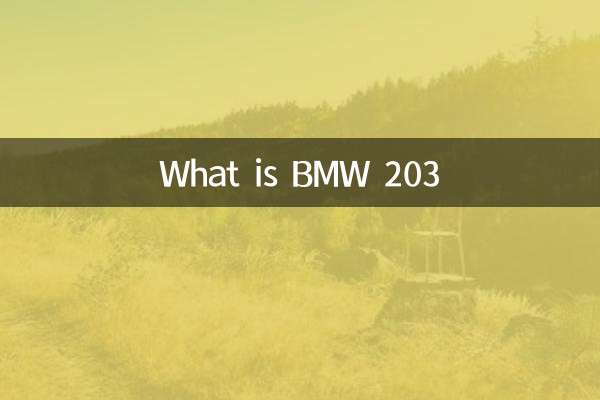 O que é BMW 203