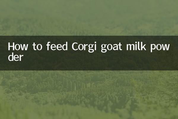 How to feed Corgi goat milk powder