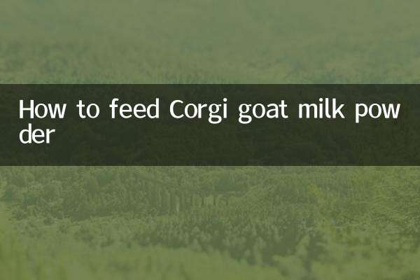 نحوه تغذیه پودر شیر بز Corgi
