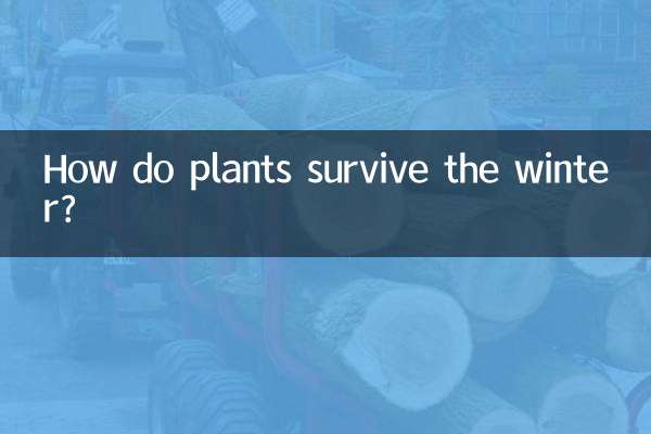 Comment les plantes survivent-elles à l’hiver ?