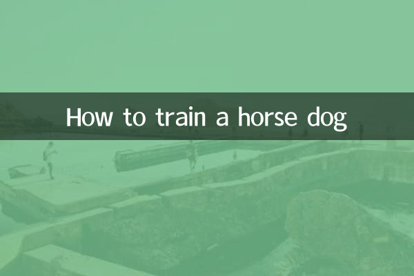 How to train a horse dog