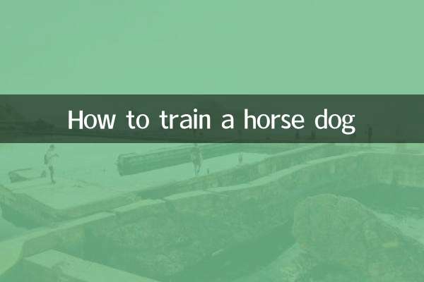 Come addestrare un cane da cavallo