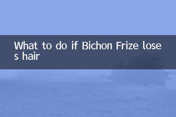 What to do if Bichon Frize loses hair