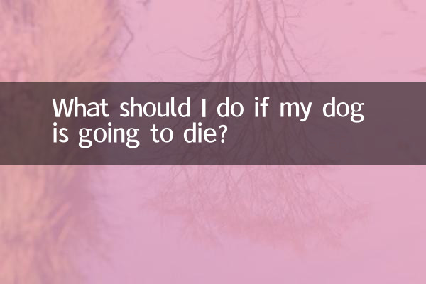 Was soll ich tun, wenn mein Hund sterben wird?
