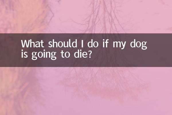 Was soll ich tun, wenn mein Hund sterben wird?