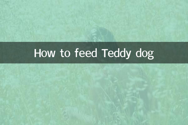 टेडी कुत्ते को कैसे खिलाएं