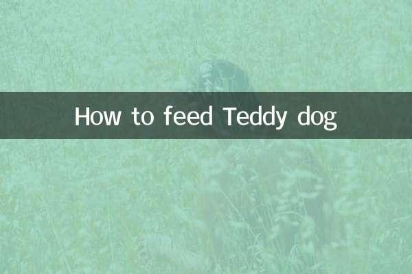 টেডি কুকুরকে কীভাবে খাওয়াবেন