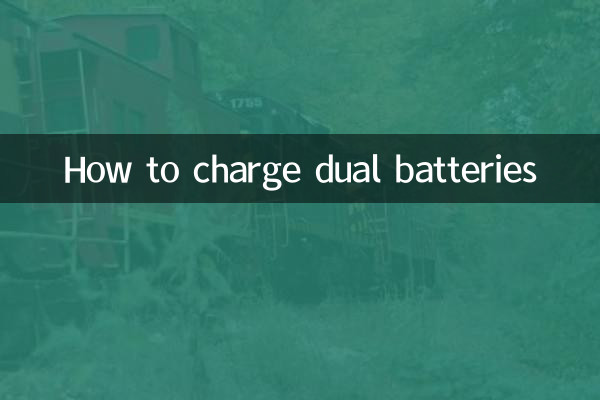 듀얼 배터리 충전 방법