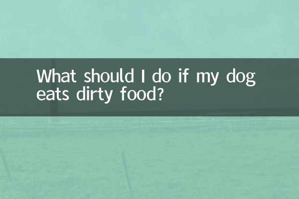 狗吃了脏东西怎么办