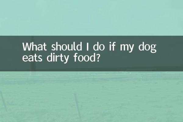狗吃了脏东西怎么办