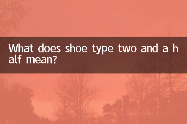 Was bedeutet Schuhtyp zweieinhalb?