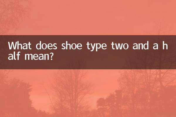 Was bedeutet Schuhtyp zweieinhalb?