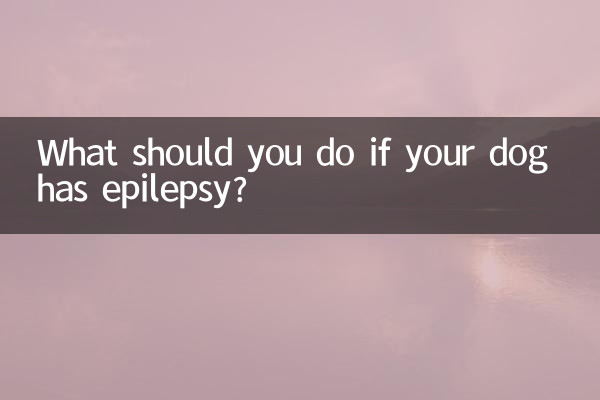 What should you do if your dog has epilepsy?