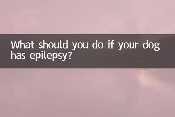 What should you do if your dog has epilepsy?