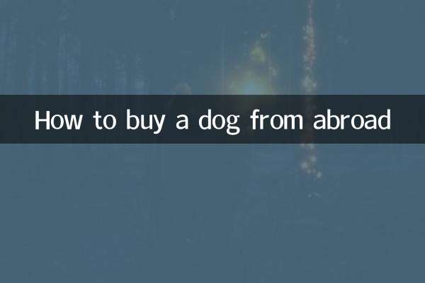 Wie kaufe ich einen Hund aus dem Ausland?