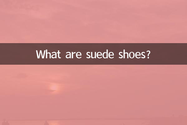 スエード靴とは何ですか?